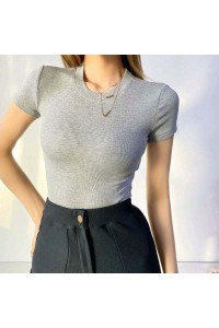 Women's Plus Size T-Shirt Casual Spandex Soft Fabric Round Neck Chiffon Solid Color Custom